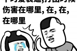 古城对付老赖：刘小姐被老赖拖欠货款